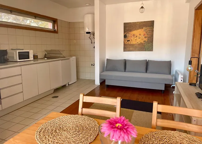 Douro River Charming Flats Apartment *