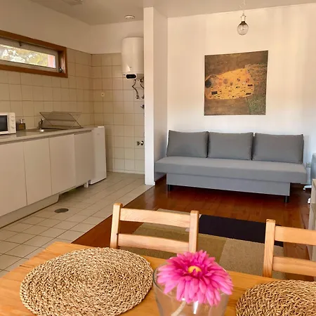 Douro River Charming Flats Apartament *